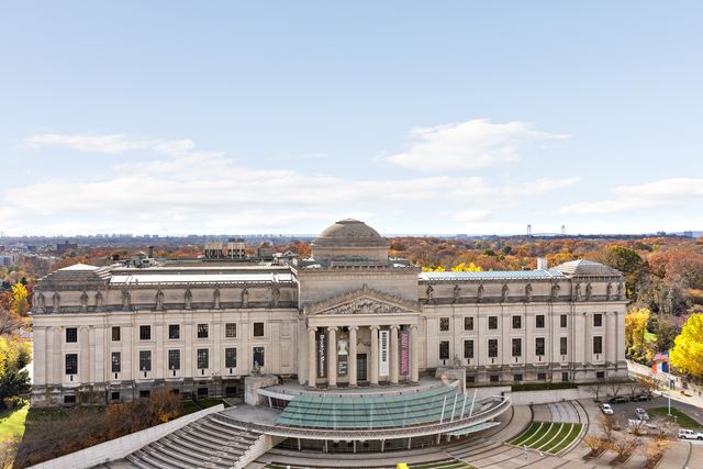 856 Washington 856 Washington Ave, Brooklyn, NY 11238 - Photo 6 of 6