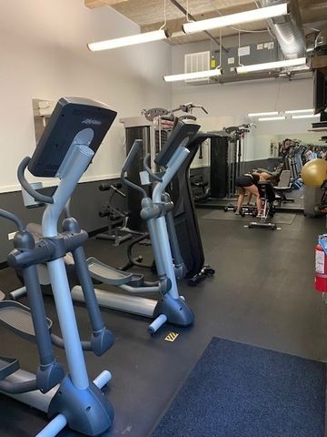 1735 N Paulina St, Chicago, IL 60622 - Photo 2 of 9