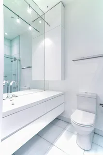 a bathroom with a shower and a toilet