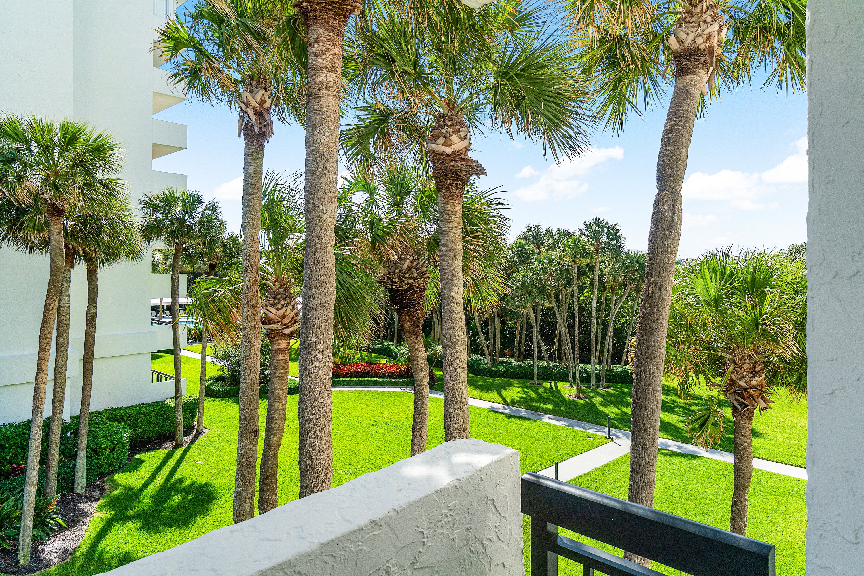 2003 North Ocean Boulevard, Unit 305 Boca Raton, FL 33431 - Photo 20 of 56 a view of a park with palm trees