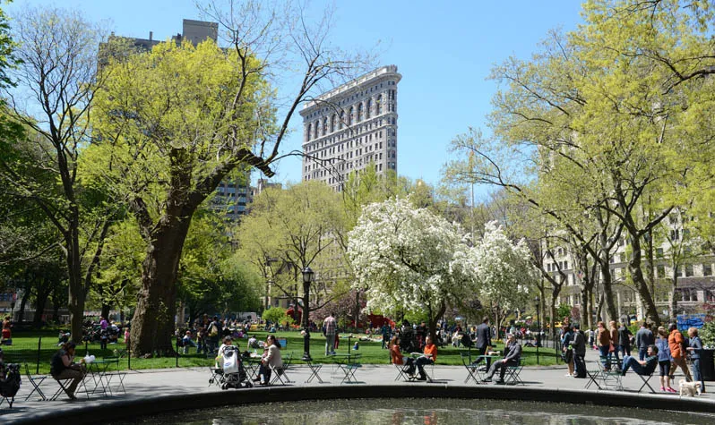 front view of a building with trees