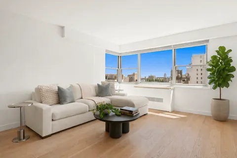 a living room with furniture and a potted plant