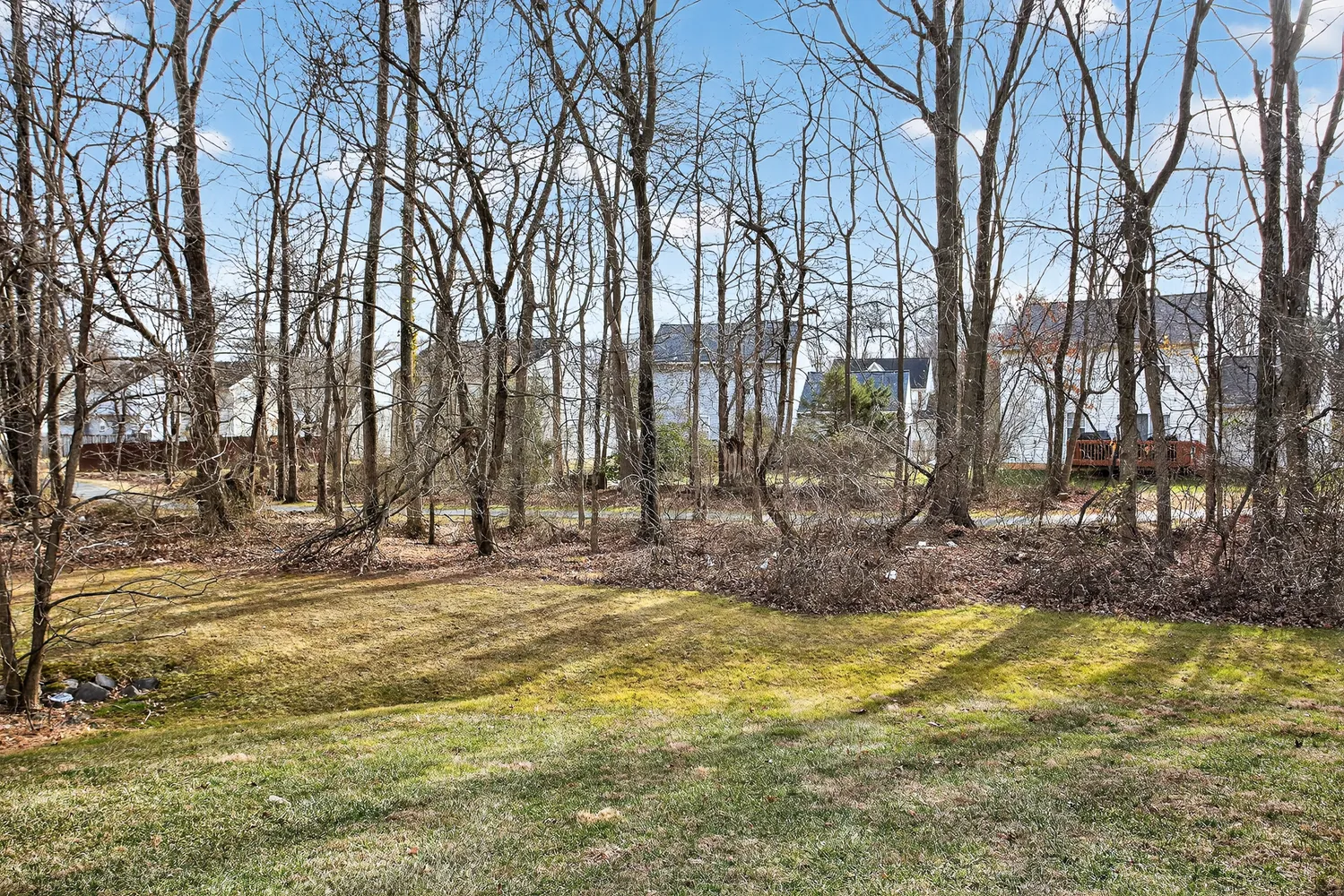 a view of a yard with trees