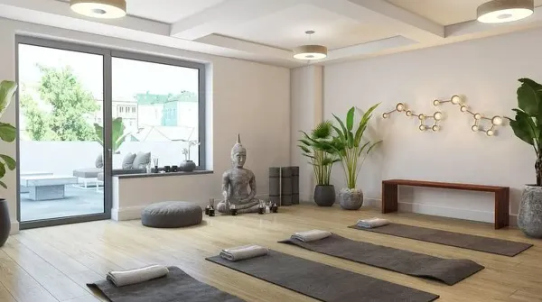 a living room with furniture and a potted plant