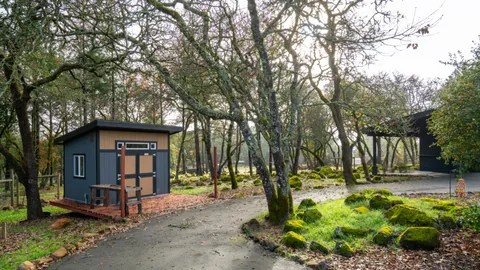 a view of outdoor space with trees