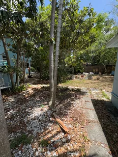 a view of a yard with plants and trees