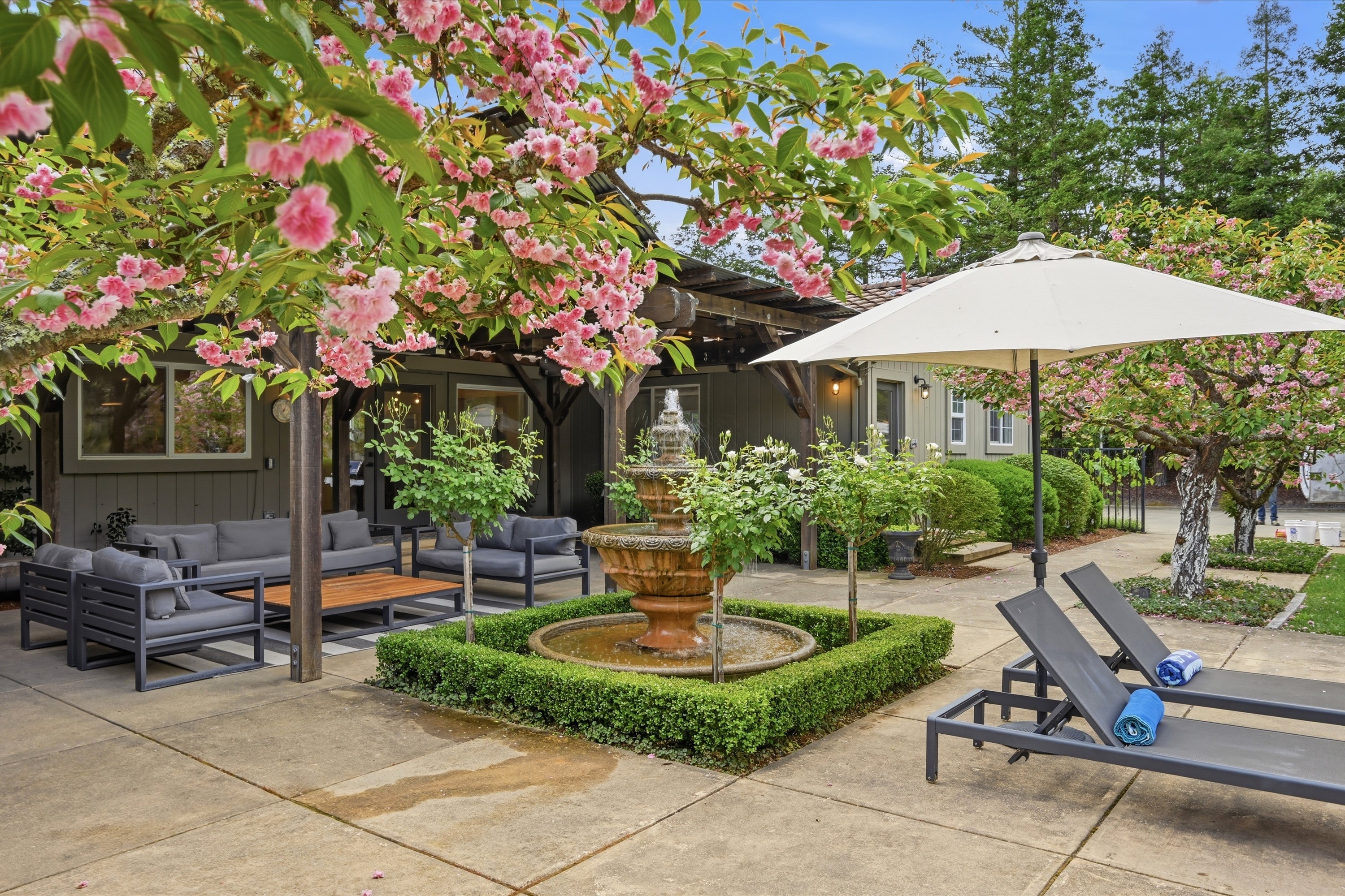 1541 Chablis Road Healdsburg, CA 95448 - Photo 3 of 19 a view of a backyard with sitting area and furniture