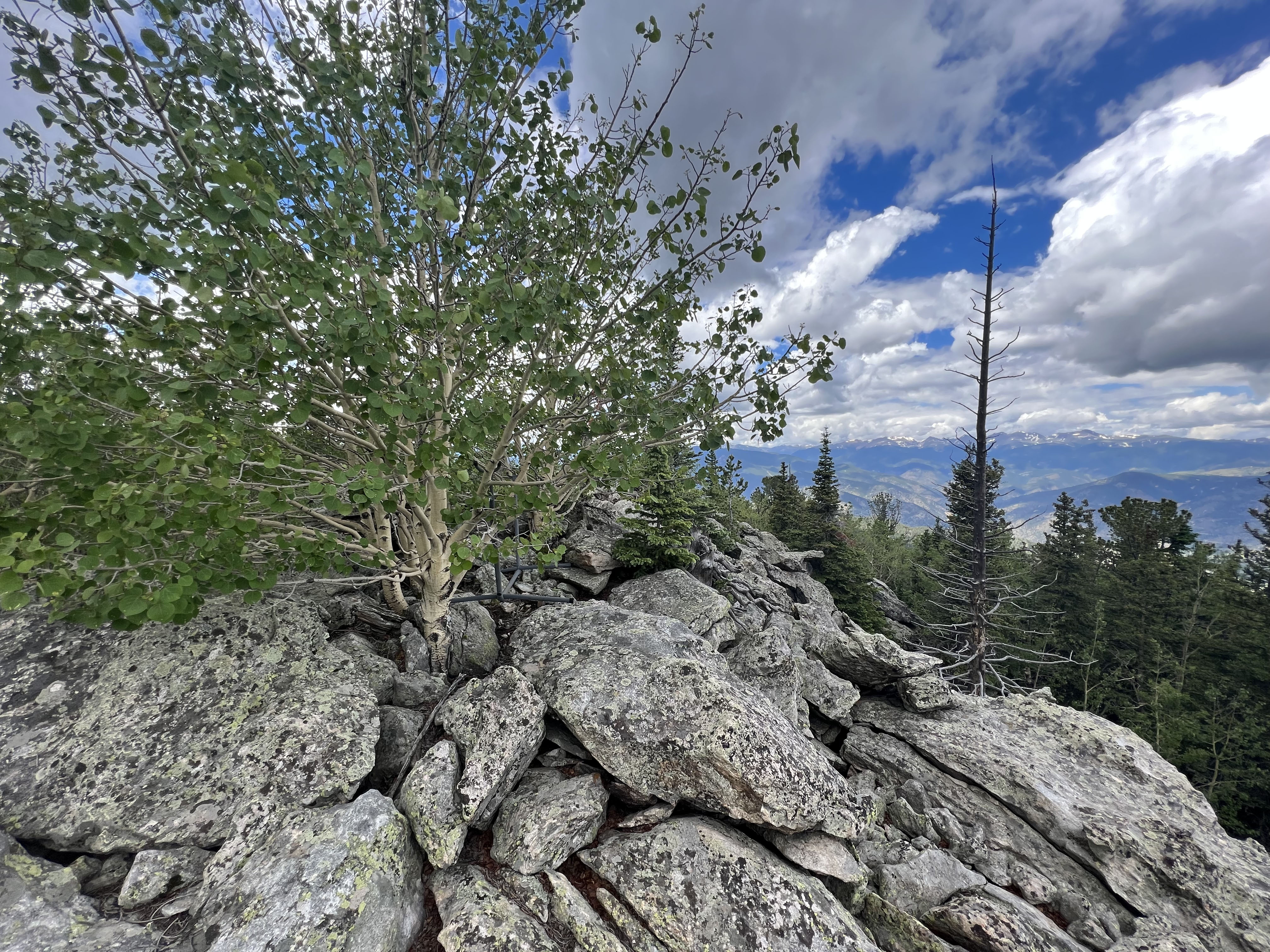 0 South Hidden Wilderness Road Idaho Springs, CO 80452 - Photo 5 of 20