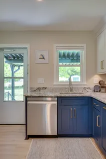 a kitchen with a granite countertop sink and potted plant