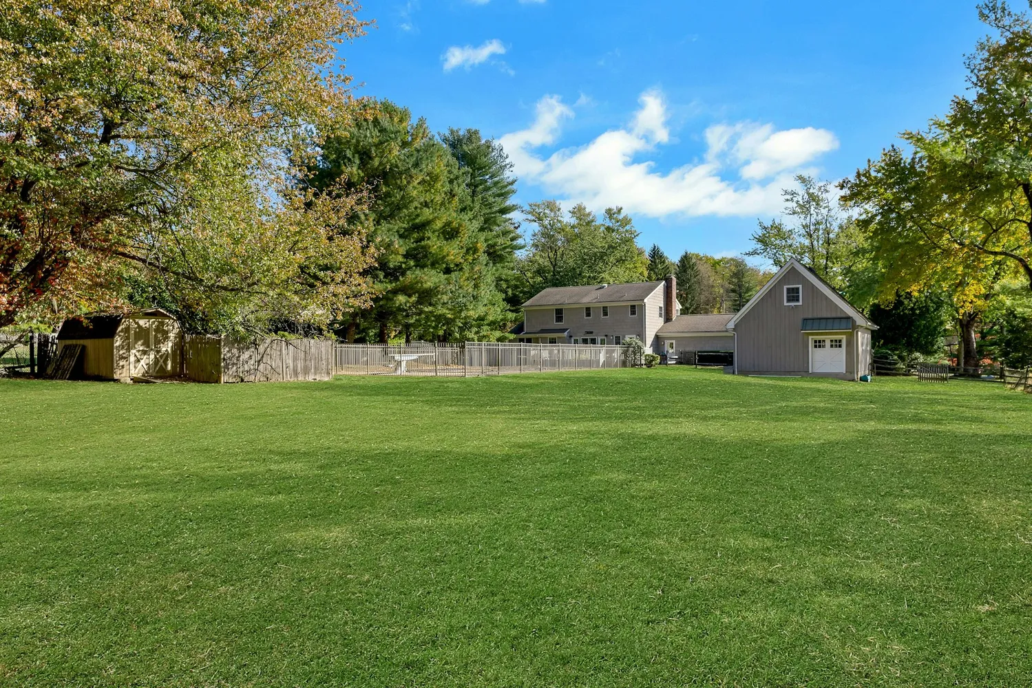 a huge green field with lots of trees