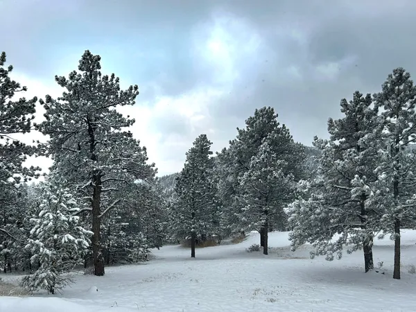 $1,875,000 | 1164 Peakview Circle, Boulder, CO 80302