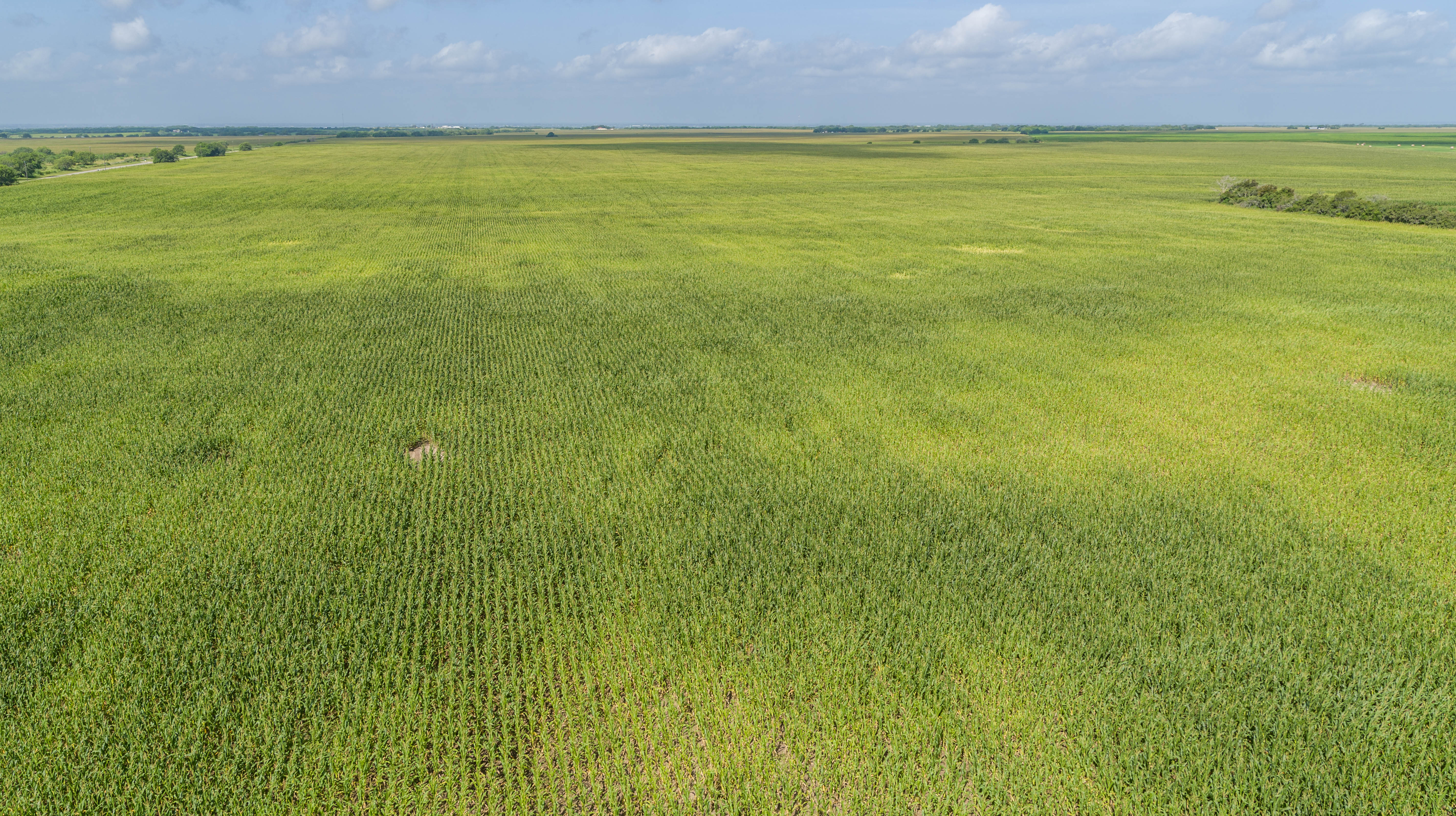 0 Fm 888 Mathis, TX 78368 - Photo 7 of 18