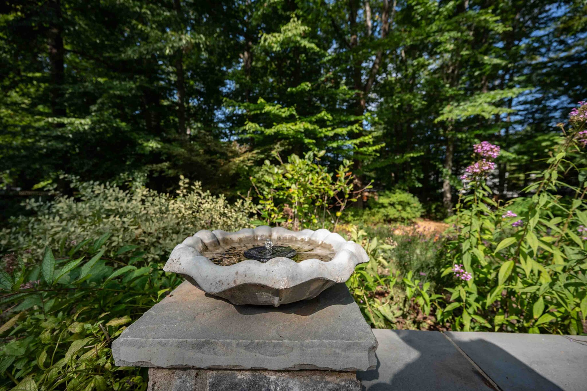 5124 Clinton Road Alexandria, VA 22312 - Photo 70 of 84 Gallery Image 70