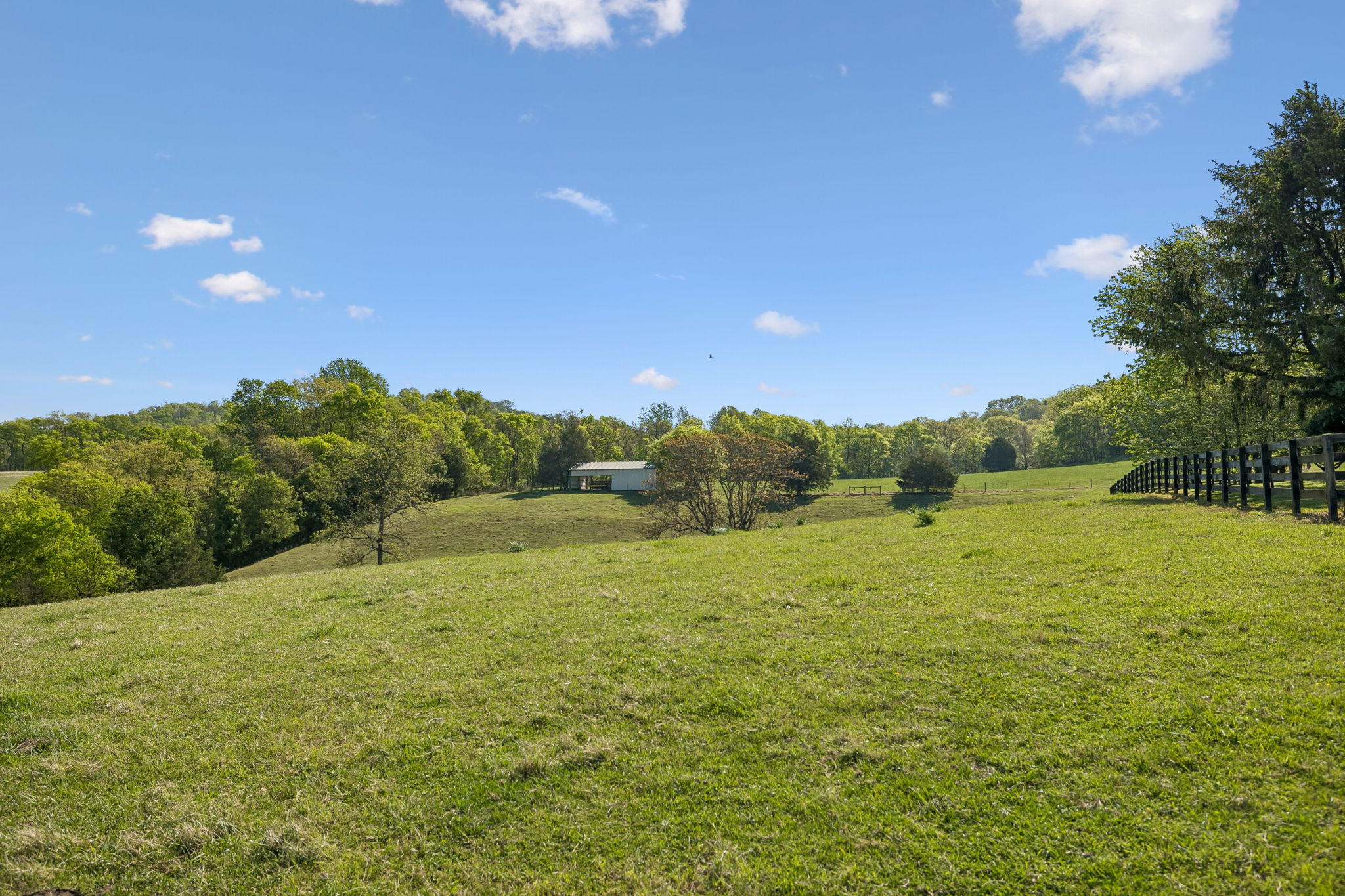 Undisclosed Address College Grove, TN 37046 - Photo 6 of 24 a view of an outdoor space and yard