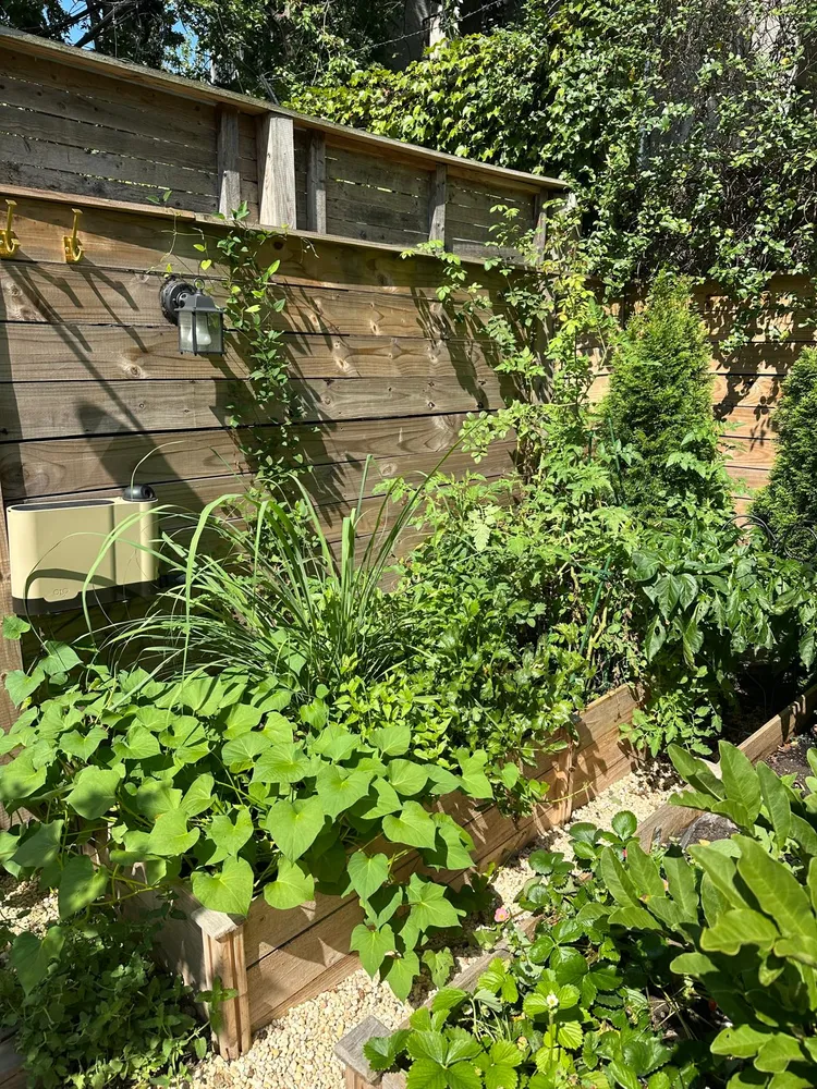 $8,995 | 795 Hancock Street | Bedford-Stuyvesant