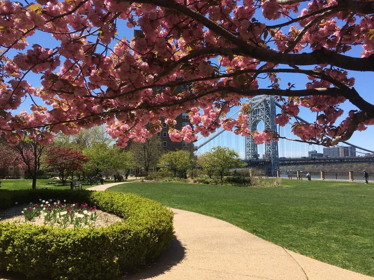 a building with river in front of it