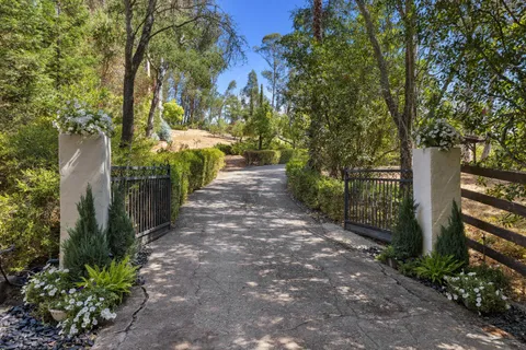 a view of a pathway with a yard