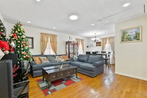 a living room with furniture and a potted plant