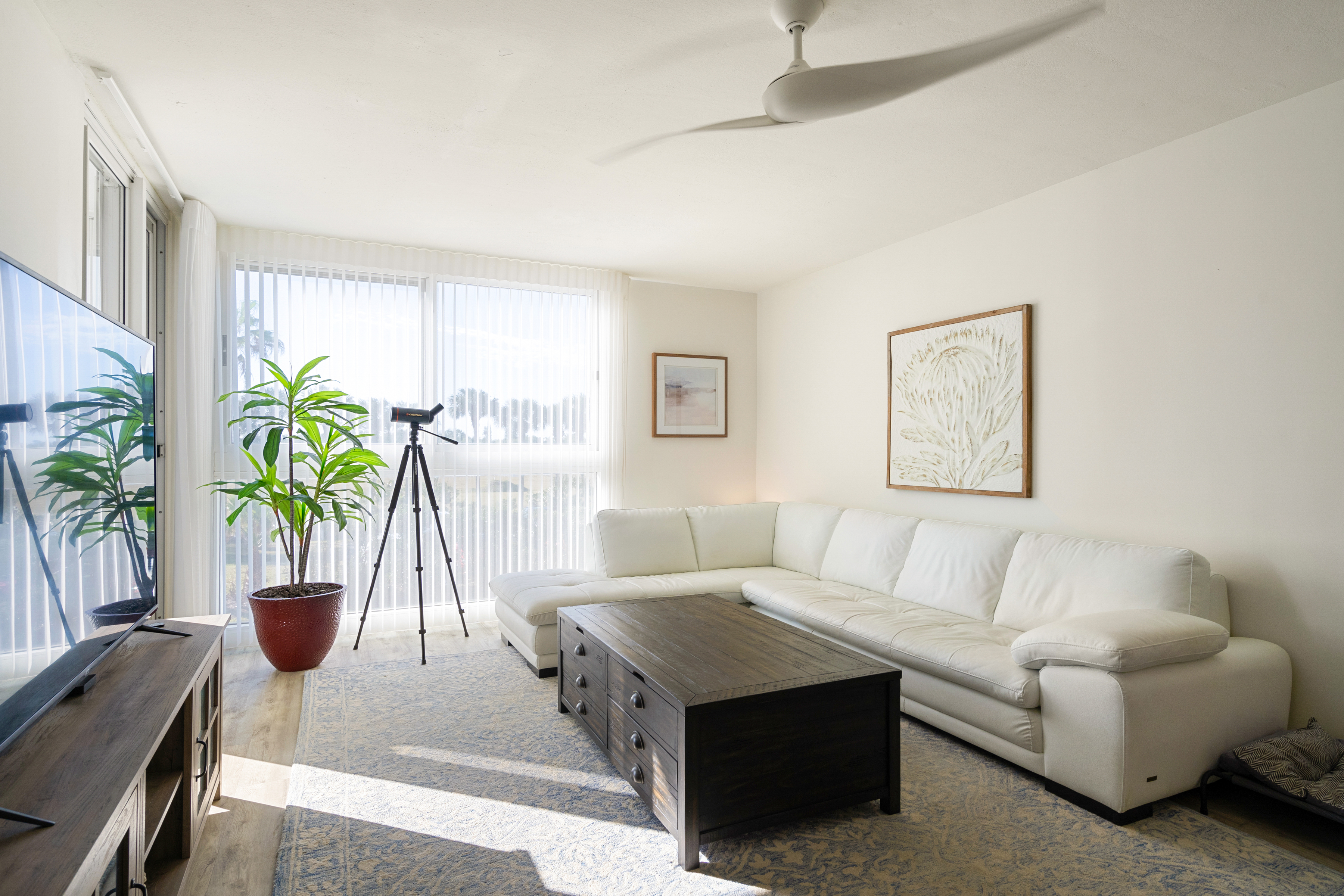 2700 North Highway A1a, Unit 207 Fort Pierce, FL 34949 - Photo 4 of 36 a living room with furniture and a potted plant