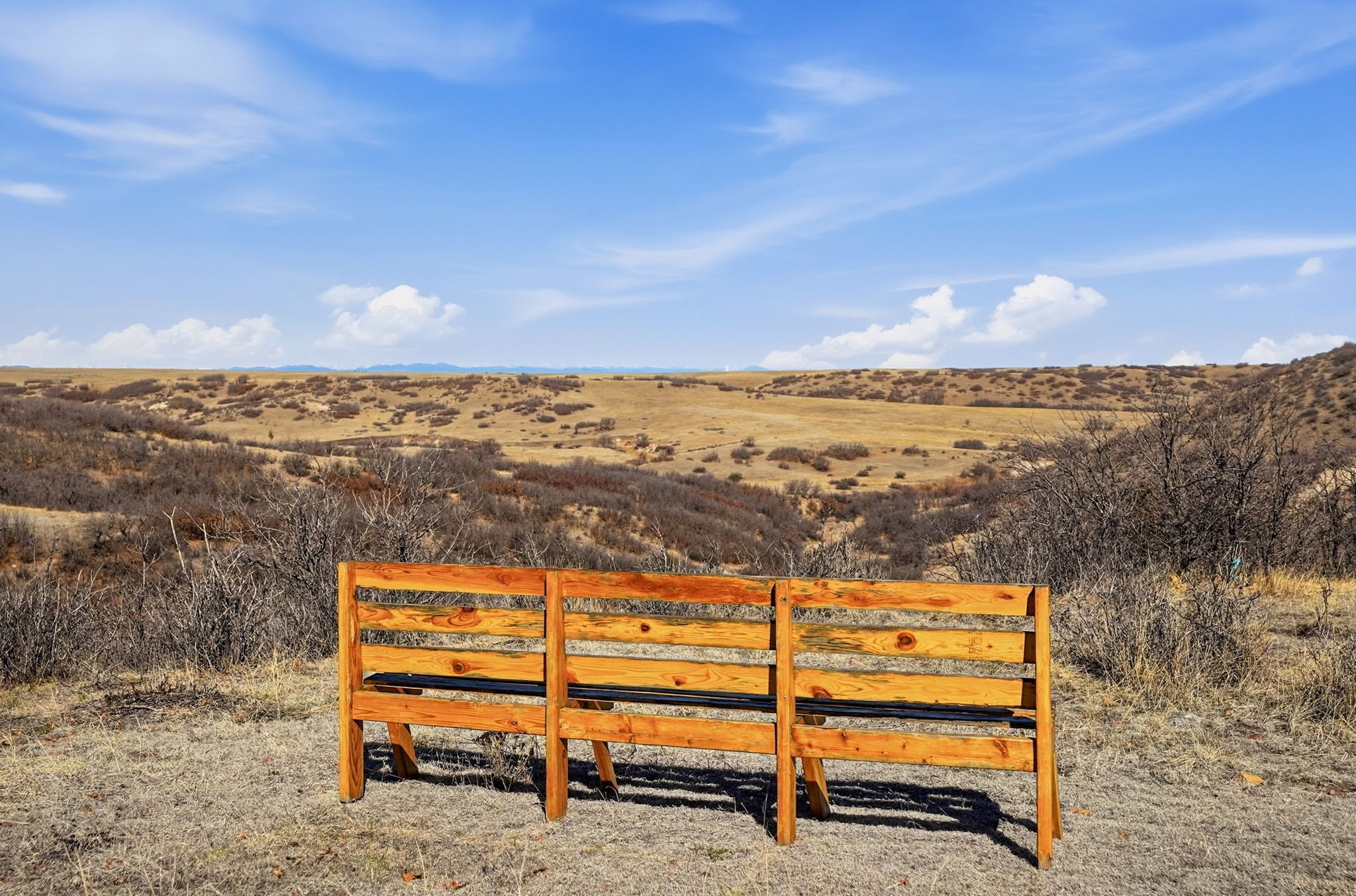 4347 Crowfoot Valley Road Castle Rock, CO 80108 - Photo 40 of 50