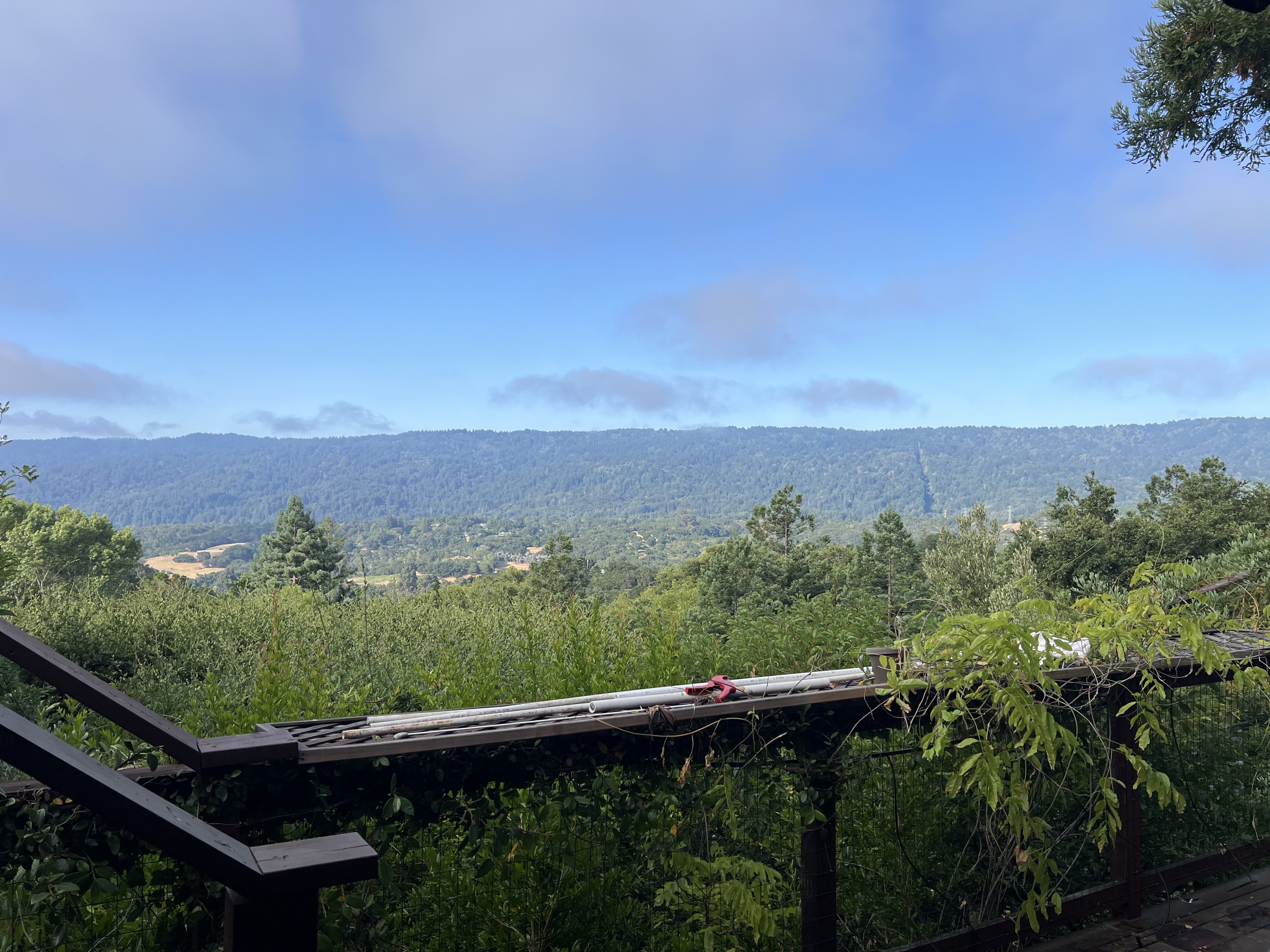 711 West California Way