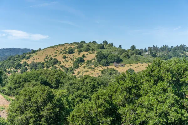 $1,949,000 | 13454 Campus Drive, Oakland, CA 94619