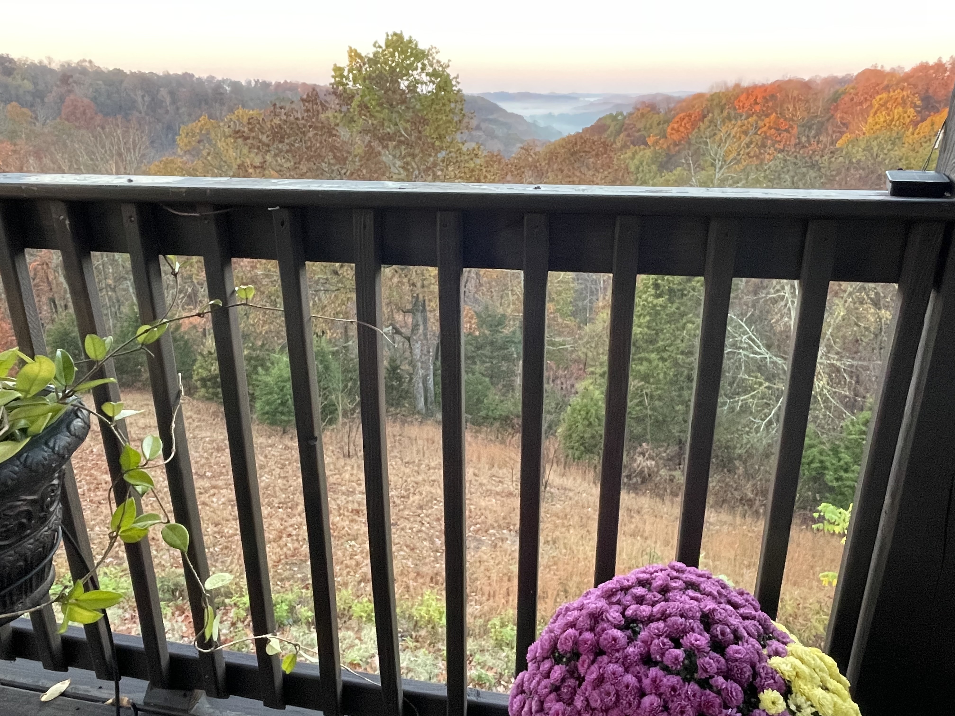 Happy Hollow Road Goodlettsville, TN 37072 - Photo 202 of 203