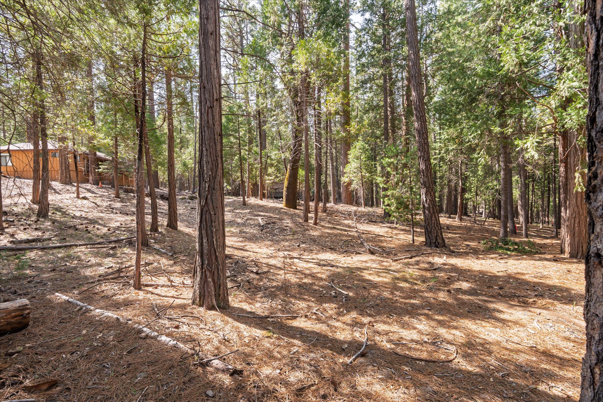 0 Koon Hollar Wawona, CA 95389 - Photo 18 of 31 a view of outdoor space with trees