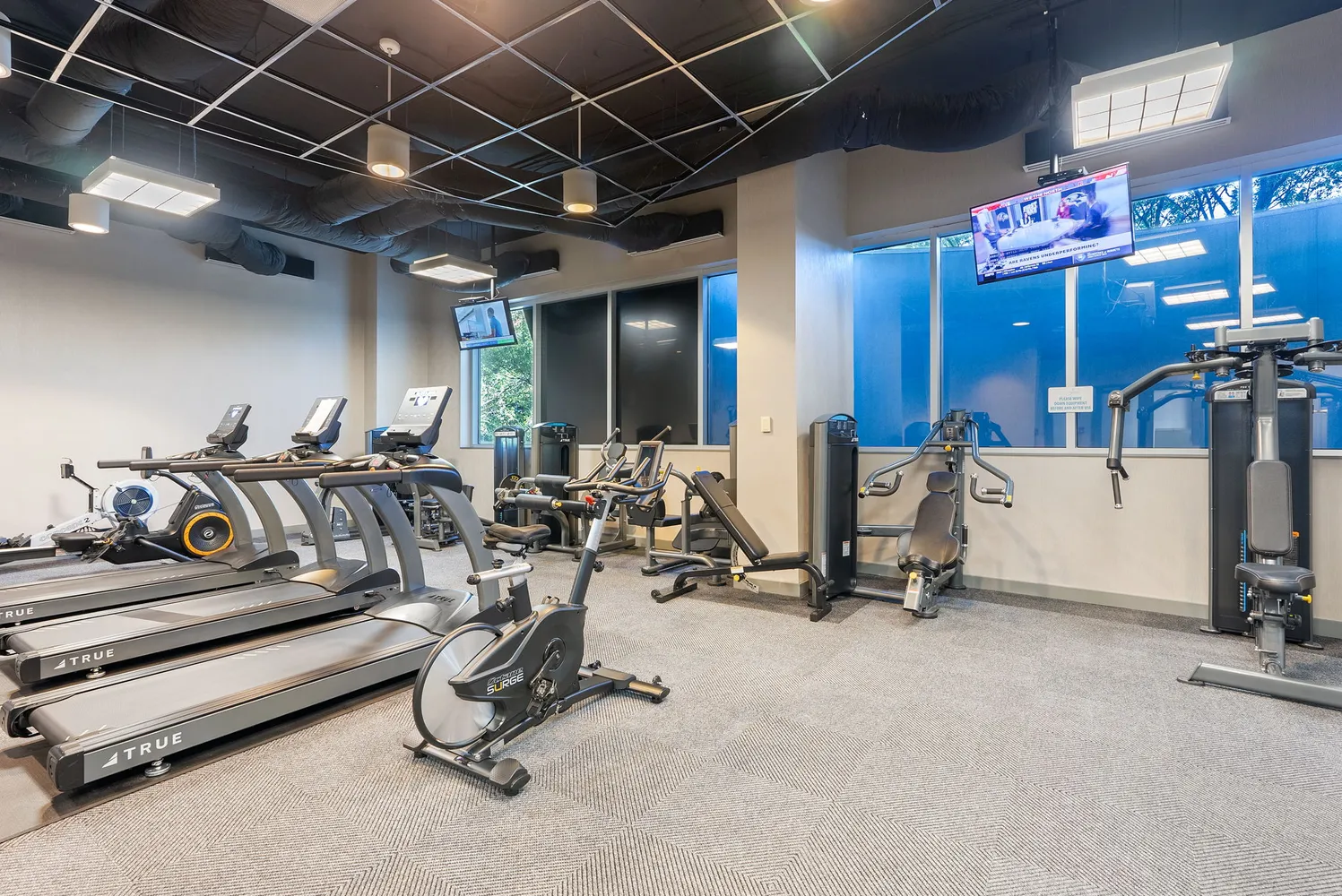 a living room with furniture floor to ceiling window hardwood floor and a flat screen tv