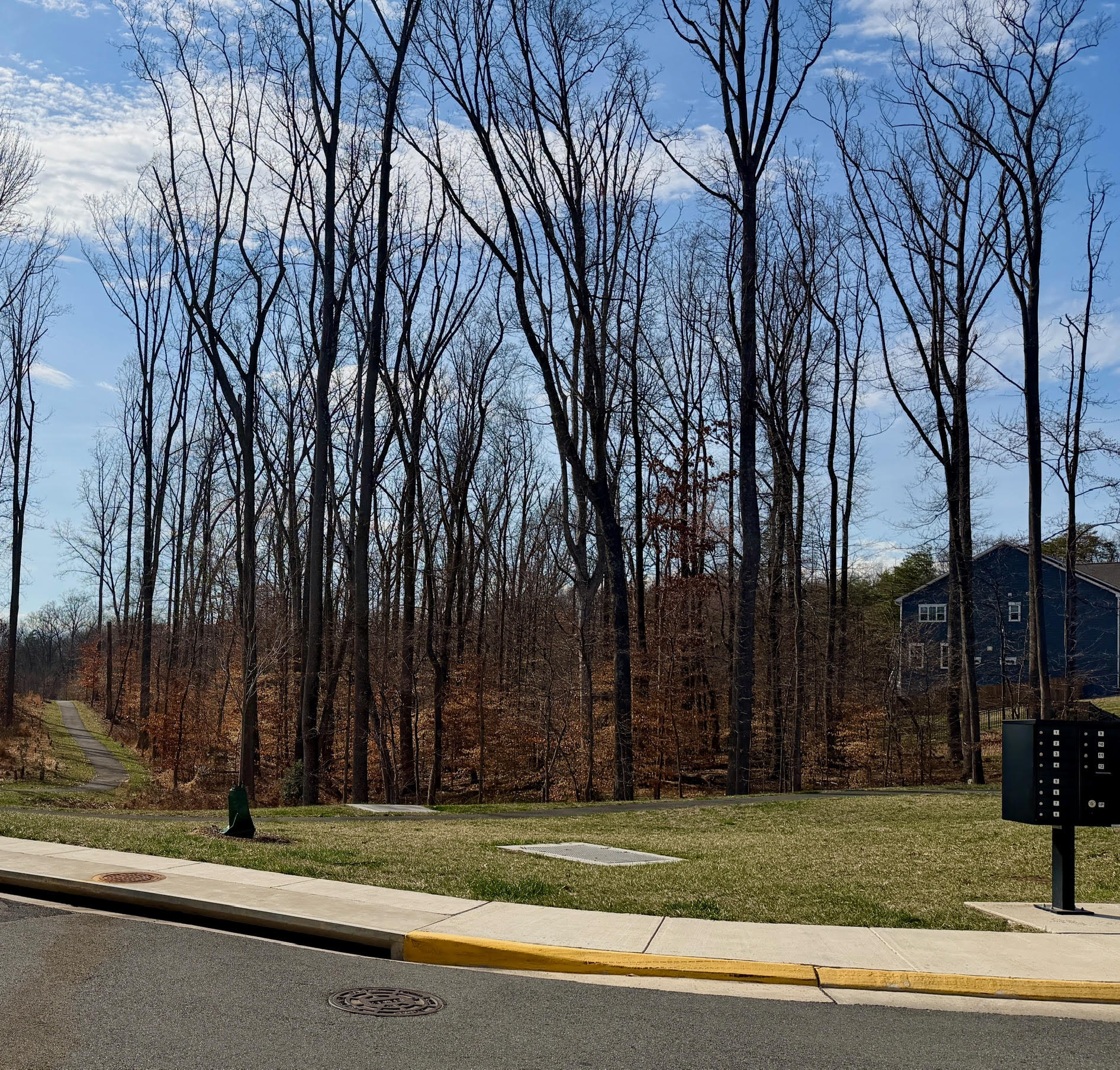 6215 McConnell Lane Springfield, VA 22152 - Photo 5 of 9