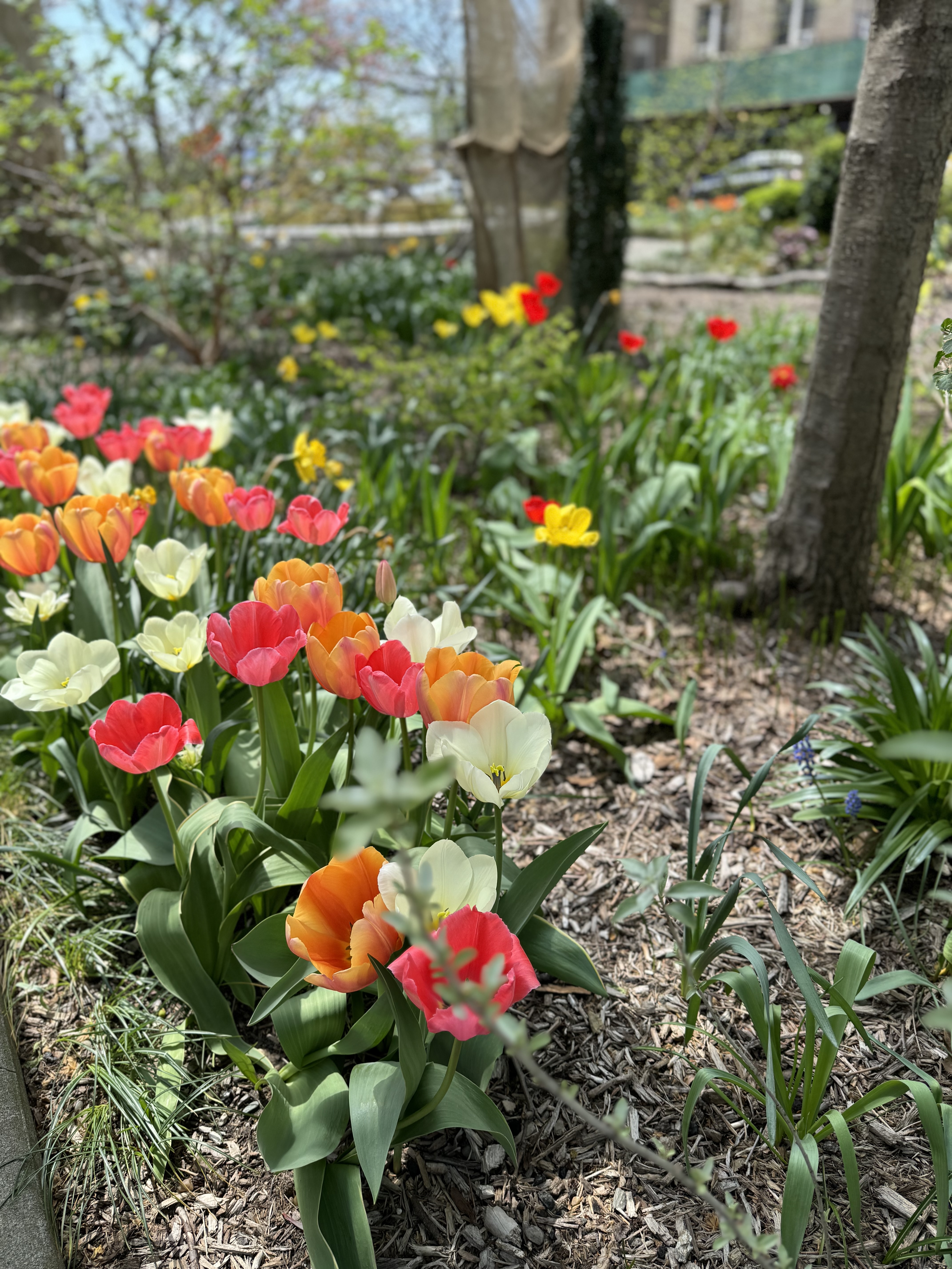 790 Riverside Drive, Unit 5B Manhattan, NY 10032 - Photo 15 of 16