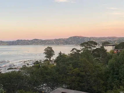 Contact Agent | 19 Toyon Lane, Sausalito, CA 94965