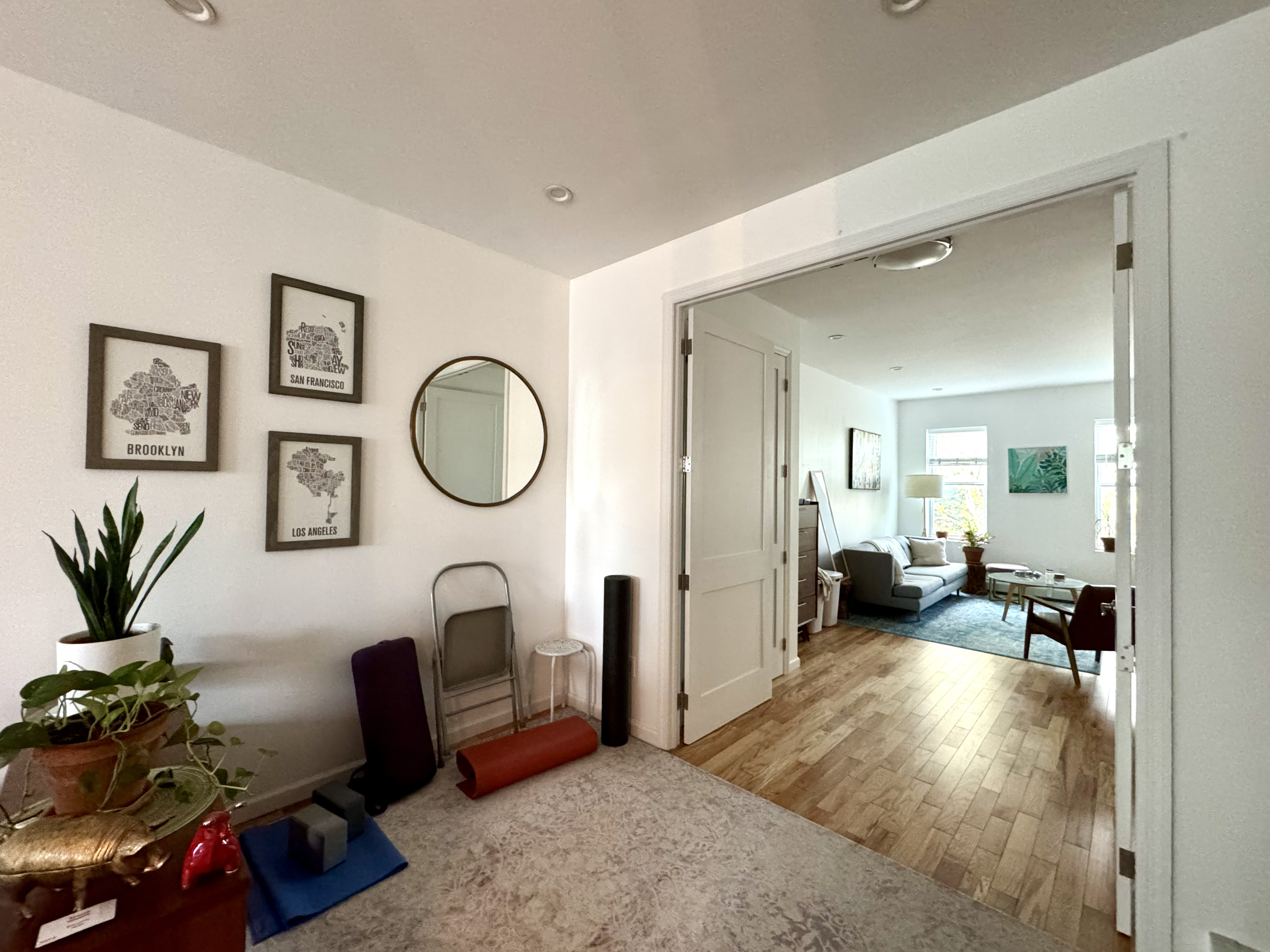 175 Luquer Street, Unit 4 Brooklyn, NY 11231 - Photo 4 of 21 a living room with furniture and a mirror