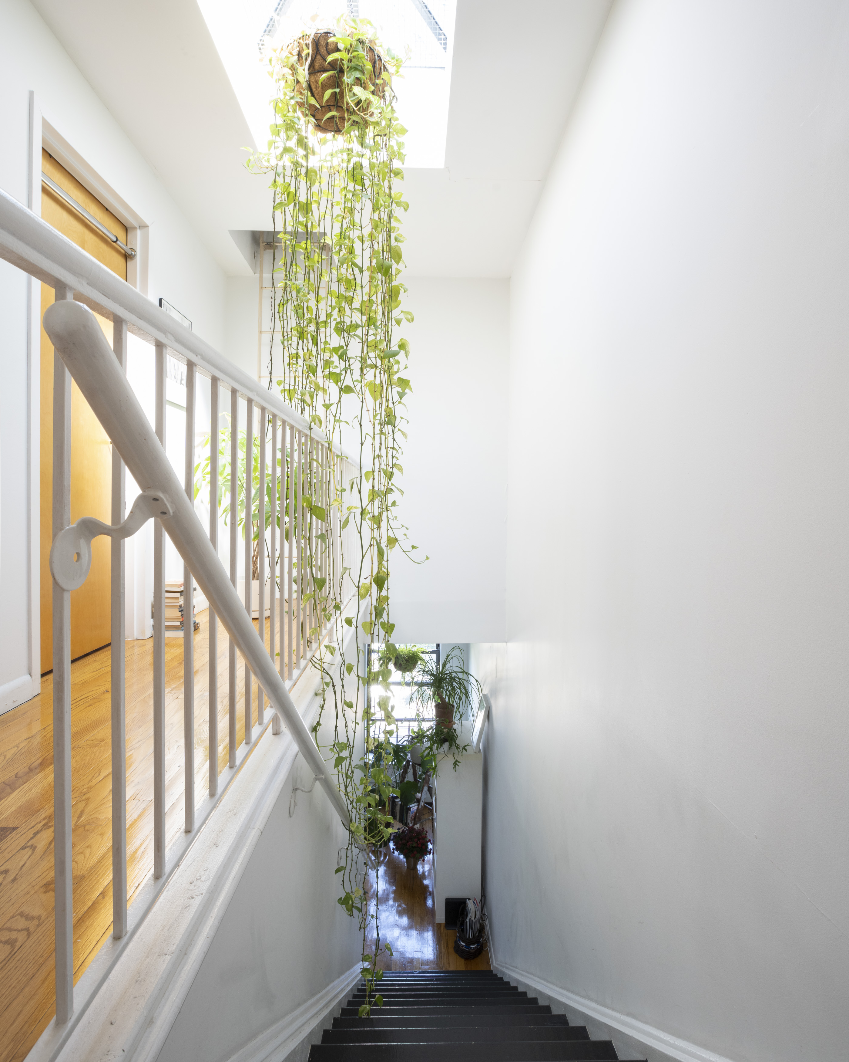 404 Classon Avenue, Unit 2 Brooklyn, NY 11238 - Photo 7 of 14 a view of entryway