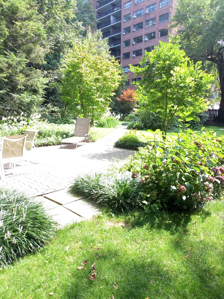a view of a yard with plants and large trees