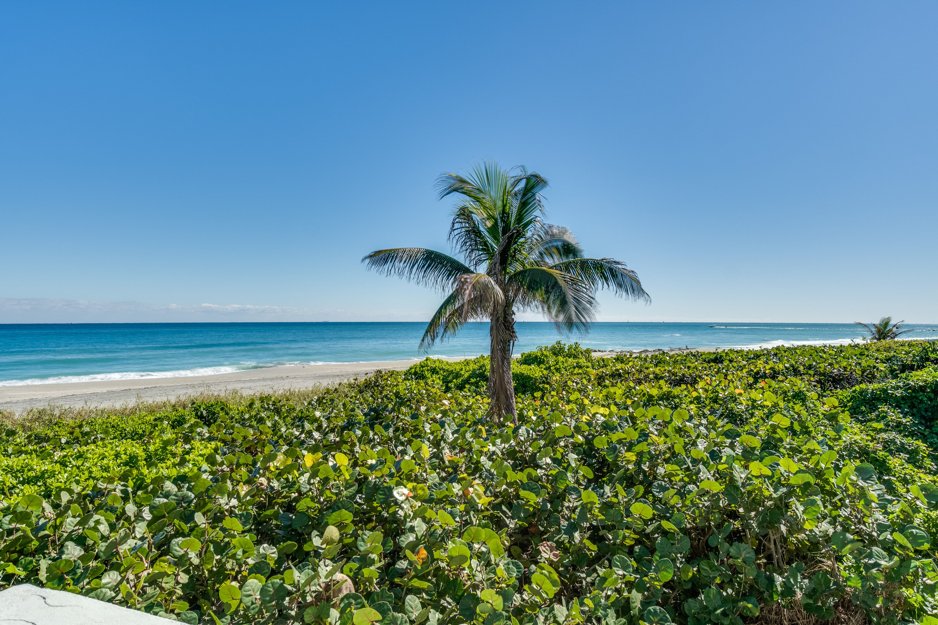 700 South Ocean Boulevard, Unit 705 Boca Raton, FL 33432 - Photo 51 of 54