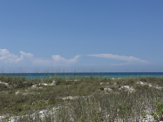 145 Beachfront Trail, Unit 302 Santa Rosa Beach, FL 32459 - Photo 1 of 4
