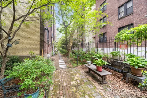 a garden with plants and flowers