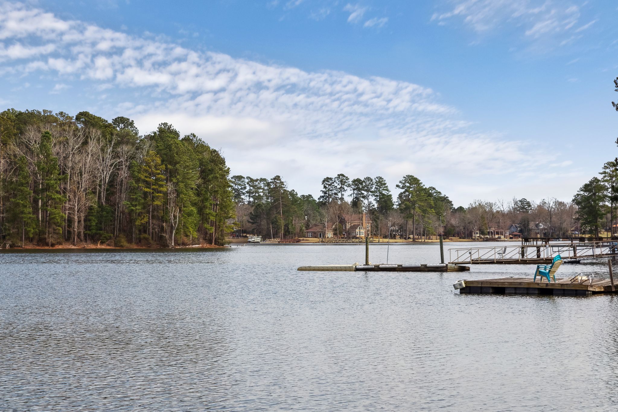 223 Tilden Point Circle Chapin, SC 29036 - Photo 67 of 74