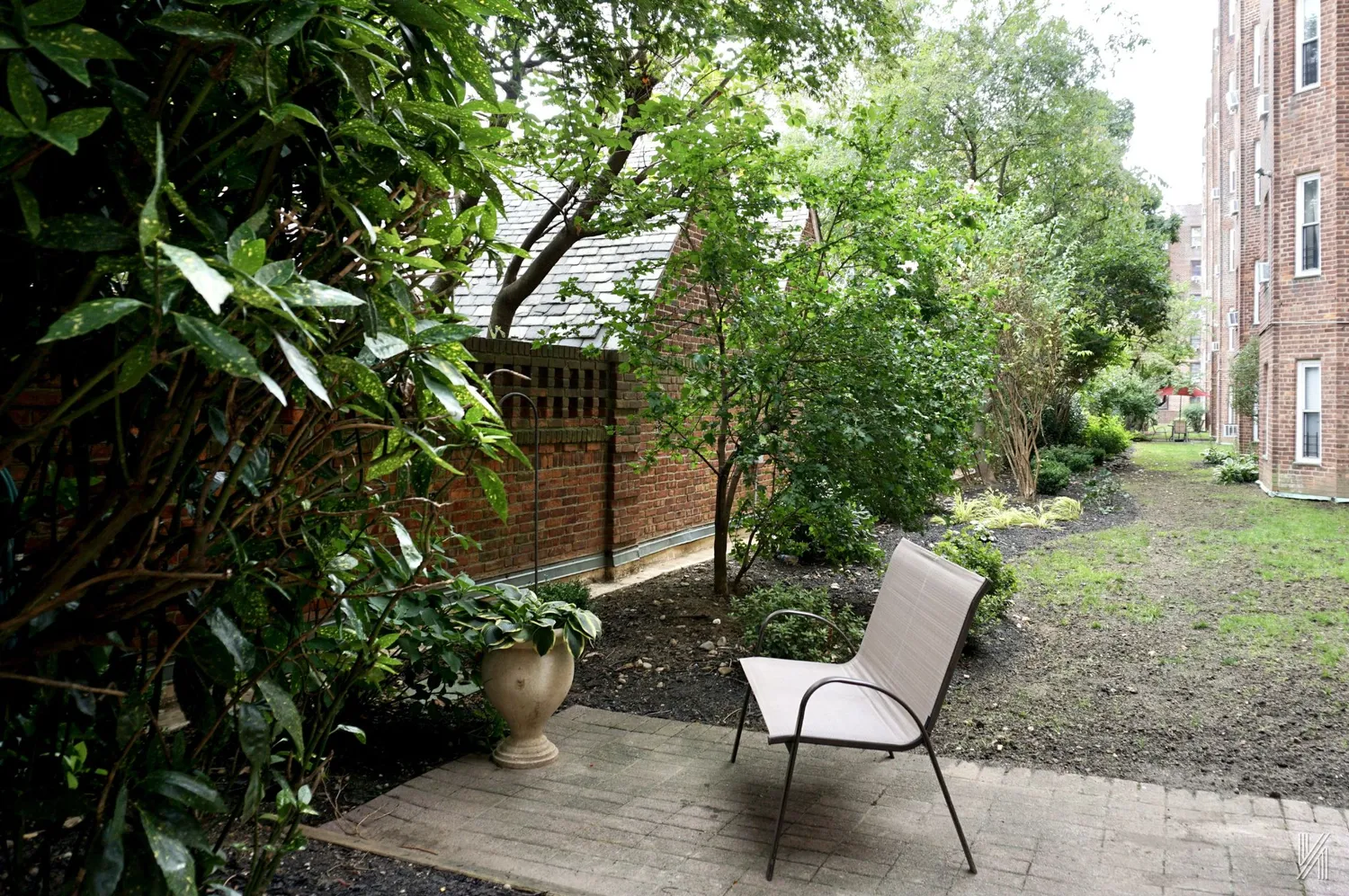 a view of a backyard with chairs and a potted plant
