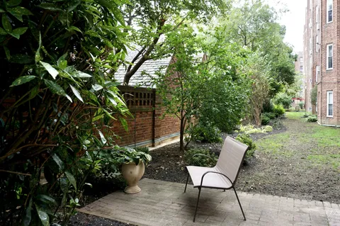 a view of a backyard with chairs and a potted plant