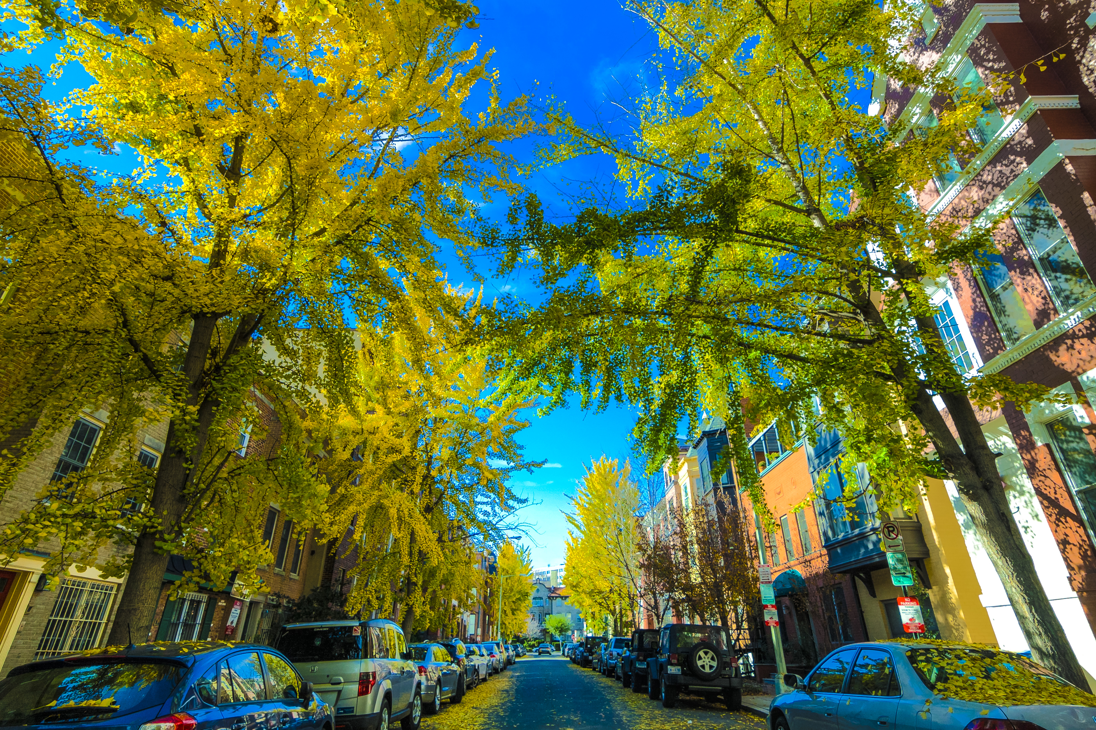 1715 15th Street Northwest, Unit 101 Washington, DC 20009 - Photo 17 of 23 a view of backyard with swimming pool