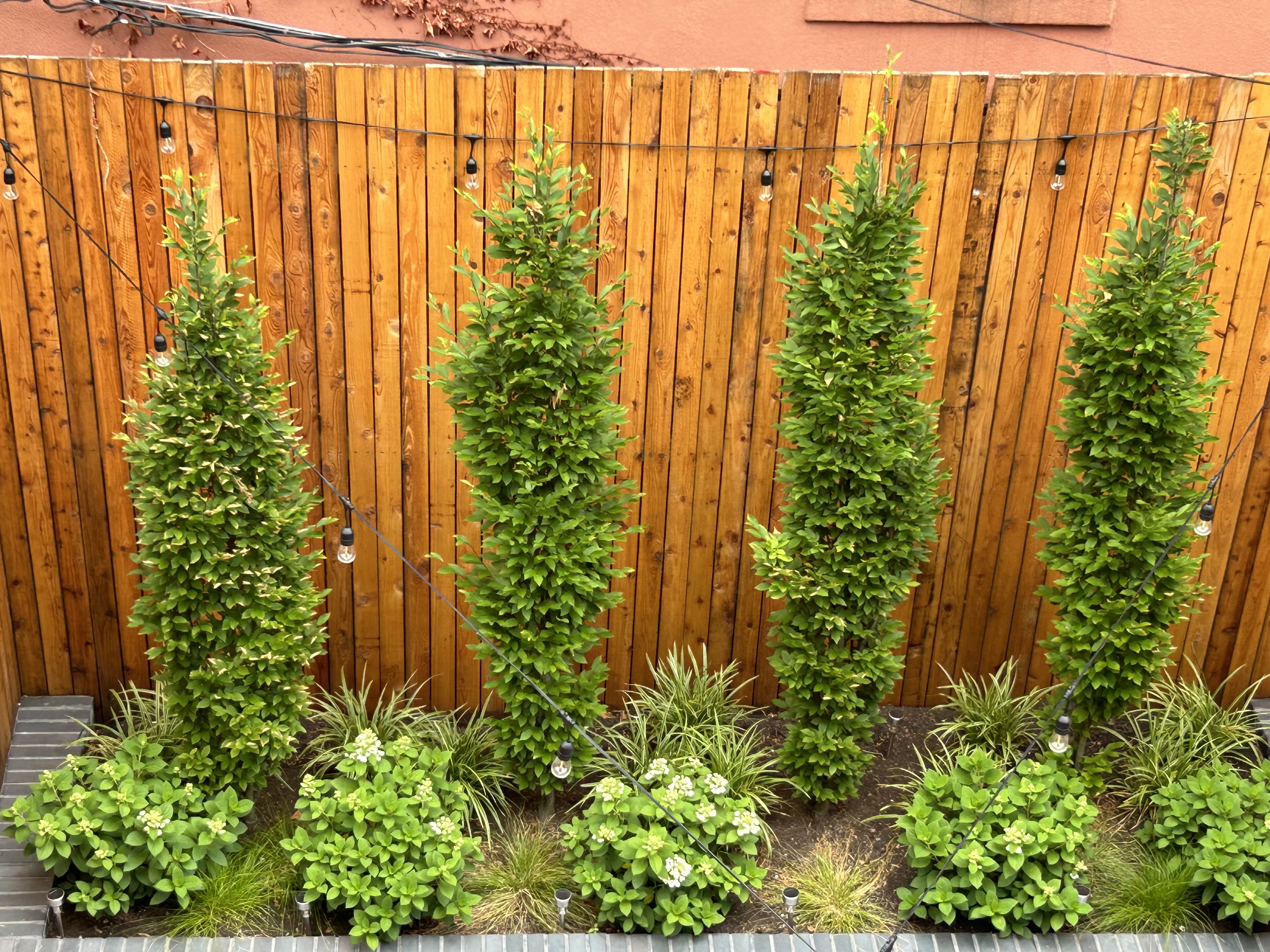 473 Union Street, Unit 1 Brooklyn, NY 11231 - Photo 10 of 15 a view of a garden with plants