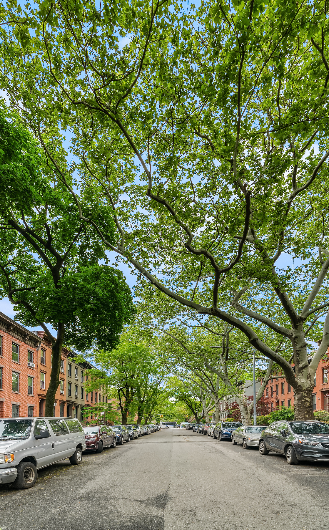 351 Adelphi Street Brooklyn, NY 11238 - Photo 19 of 25