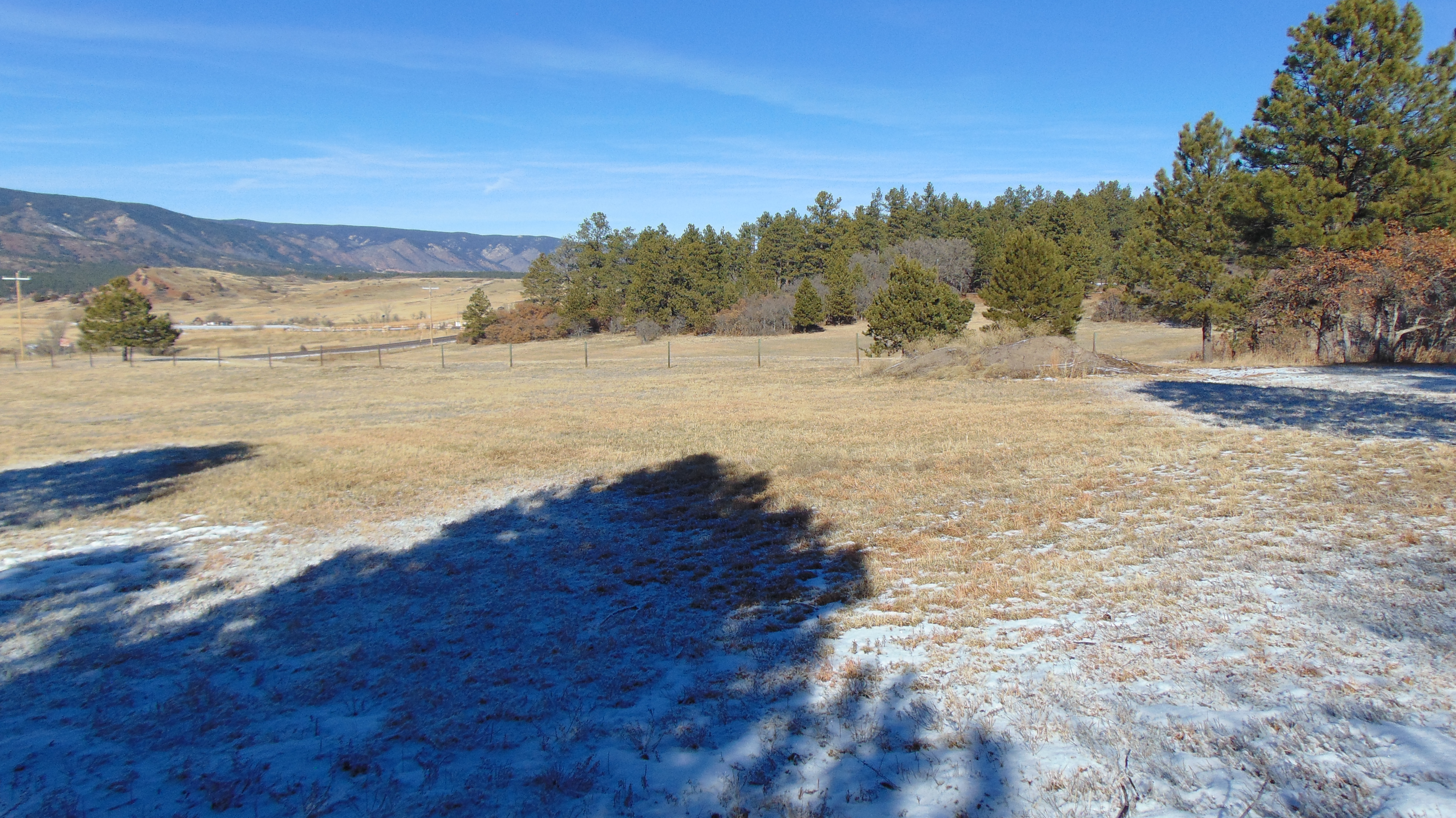 9676 South Perry Park Road Larkspur, CO 80118 - Photo 10 of 16