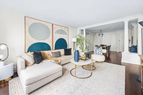 a living room with furniture a rug potted plant and a window