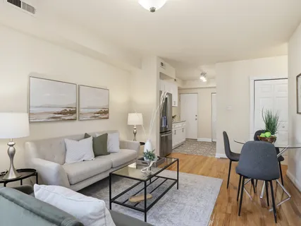 a living room with furniture and a rug