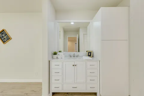 a bathroom with a potted plant