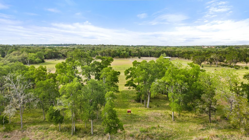 2560 Bell Springs Road Dripping Springs, TX 78620 - Photo 12 of 42 a view of a lake with green space