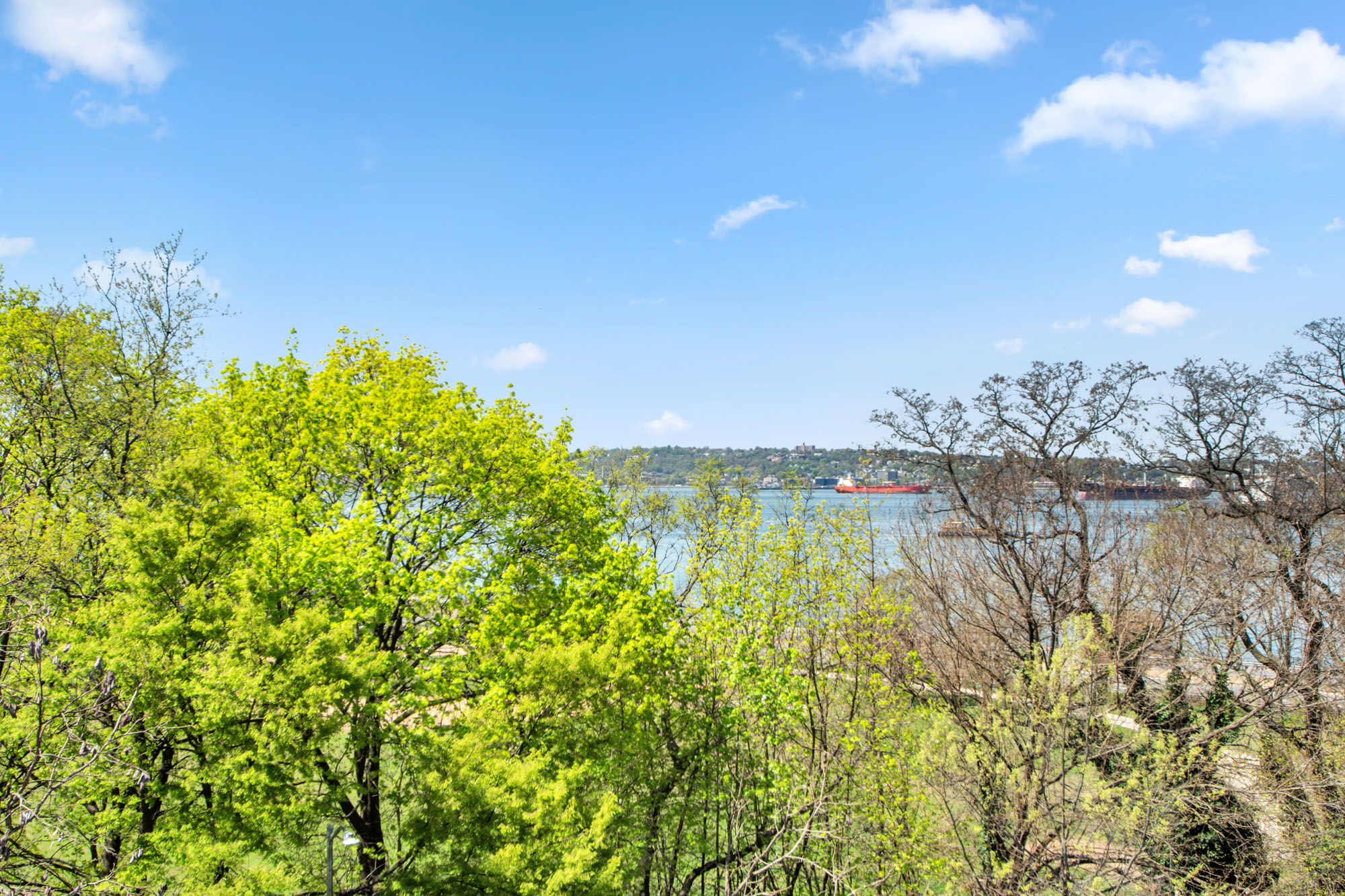 7259 Shore Road, Unit 5E5F Brooklyn, NY 11209 - Photo 11 of 11